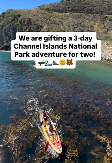 We are gifting a 3-day Channel Islands National Park adventure for two! One lucky winner and a friend will get to: 🛶 Kayak through world-renowned sea caves 🌅 Hike to awe-inspiring vistas 🤿 Snorkel in biodiverse kelp forests ⛺️ Camp on a remote island 🦊 Encounter endemic island wildlife The prize includes @sbadventureco round-trip ferry tickets, two nights at Santa Cruz Scorpion Campground, an Adventure Sea Cave Kayak Tour, snorkel rentals, and some cool Santa Barbara Adventure Company merch.