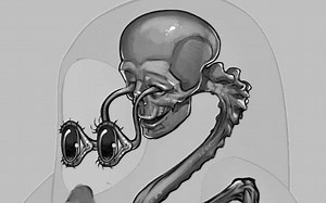 Fall Guys anatomy explained