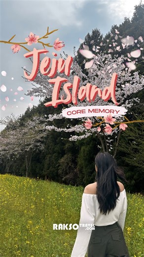 8.7K views · 38 reactions | Create your own core memory with Rakso's Exclusive Direct Flight to Jeju Island, Korea.  For inquiries:  Call us at 02-8651-9000  Chat with us at www.RAKSOTRAVEL.com  Email: support@raksotravel.com 'Follow your heartbeat' #JejuIsland #Spring #canolafields #cherryblossom #SnoopyGarden #SeongsanIlchulbong #Tangerines #Tour #southkorea #RaksoTravel #TravelAgency #philippines #foryoupage #fyp | Rakso Travel | Facebook