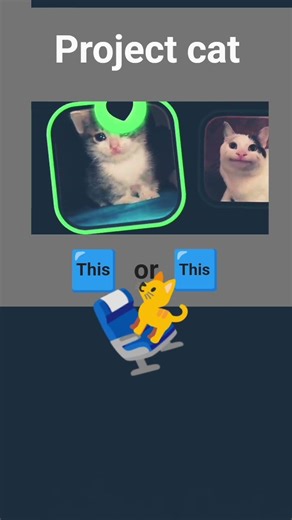 xd ( créditos a: error_99xd ) #memes #humor #funny #catshorts #catlovers