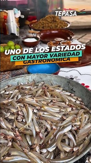 Michoacán: Los lugares, tradiciones e historias que hacen único a este estado de México 🇲🇽