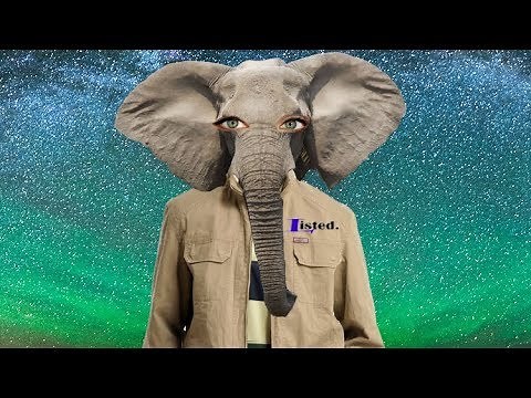 TOP 10 ANIMALS THAT THINK THEY ARE HUMANS (animals acting like humans)