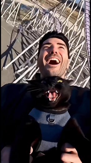 30K views · 174 reactions | Exian Bat sad to see, my cat already dead | Vitalii Rubin EXiAN | Facebook