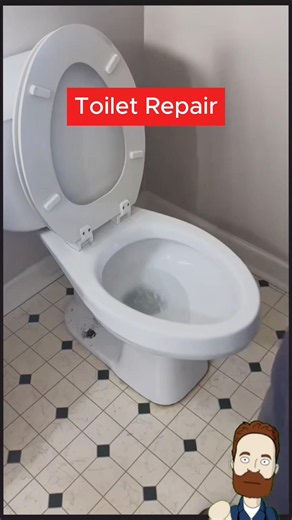 Relief Restored Toilet Flow Right Away