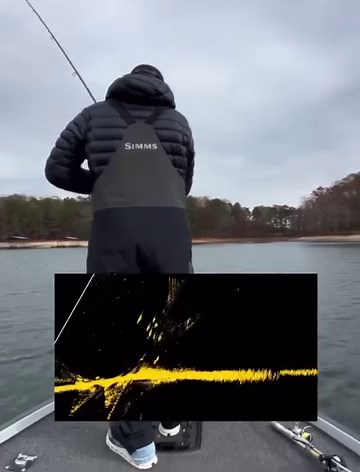16 reactions | A capture of what a professional angler sees while fishing with Lowrance Active Target 2. Jordan Lee #lowrancefishing #ultimatefishingsystem | Lowrance | Facebook