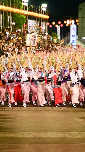 圧巻の阿波おどり「総踊り」体験