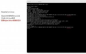 全站首发？（仅限Apple M1及以上芯片）在ARM Manjaro Linux上利用Rosetta2运行x86_64程序