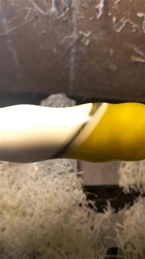 CTA CUSTOM CALLS #DistressExpress #coyotehunting #predatorhunting #callmaker