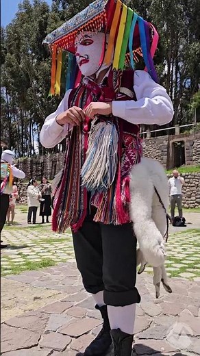 🦙 Qhapaq Qolla, danza ancestral cusqueña desde San Cristóbal. #CuscoMágico #QhapaqQolla #CulturaViva