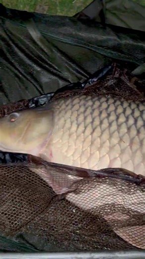 Late Night Carp Fishing in Bulgaria