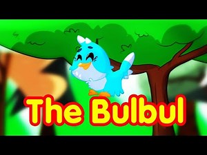 The Bulbul - Toyor Baby English