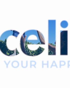 What are you waiting for! It’s time to go to your happy price with Priceline. | priceline