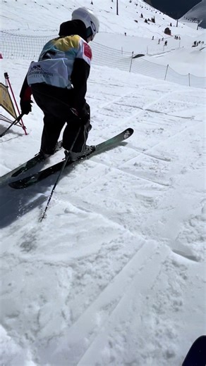 Skiing Overshoot: A Freestyle Adventure