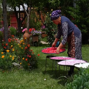 239K views · 5K reactions | Traditional Rose Jam Homemade Recipe from Fresh Roses. | Cooking Family | Facebook