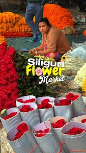 Siliguri flower market 🌸🌻 . . Follow @the_siliguri for More! ✨ . . . . [ Siliguri flower market, Siliguri shopping place, Flowers in Siliguri, Siliguri hidden gem, Siliguri guide , Travel Siliguri] #siliguri #thesiliguri #siliguri_instagramers #flowers #siliguri_diaries | The Siliguri