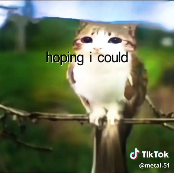 I’m a new soul #meme#imanewsoul