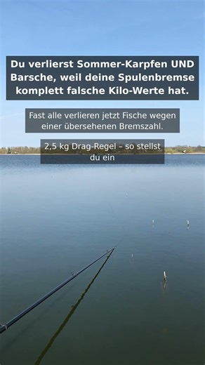 Diese Bremseinstellung killt deinen Sommer-Biss