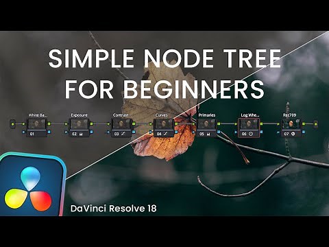 Node Tree for Beginners // Davinci Resolve 18