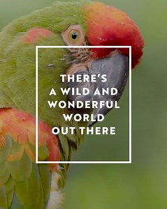 1.5K reactions · 204 shares | Experience a year of adventure and exploration. Go farther and get closer with a membership to the Fort Worth Zoo! | Fort Worth Zoo | Facebook