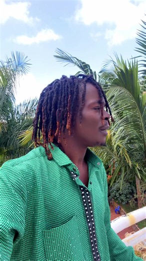 De Pan by King Saha: A Melodic Exploration