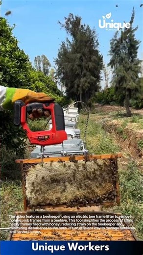 Bee Frame Lifter: Electric Honeycomb Frame Lifting Tool