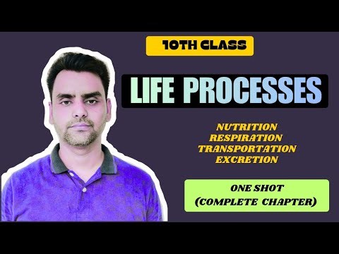 Life Processes | Complete Chapter In One Shot | NCERT Class 10th | Naim Akhtar