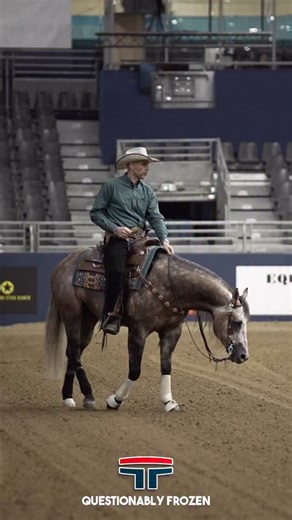 221 for our “Dreamy” boy and Stefano Cerutti!!! 🙌🏻🙌🏻🤩🤩 NRHA European Derby Open Level 4 FINALIST with the 2nd best score of the DAY!!🔥🔥🔥 What a smooth and stylish run for Questionably Frozen, aka Dreamy — a 5-year-old stud sired by SG Frozen Enterprize and out of Unquestionably Crome. We couldn’t be more proud of both of you!! #ScottiQuarterHorses | Scotti Quarter Horses