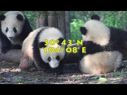 The Geographic Concept of Location