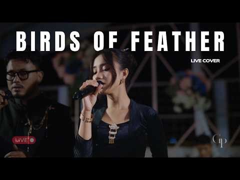 Birds Of Feather Quartet String Version Live Cover | Good People Music