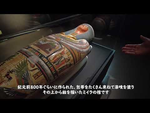 「大英博物館ミイラ展 古代エジプト６つの物語」の内覧会を取材