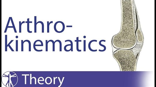 Arthrokinematics: Roll, Glide, Spin, Traction Compression | Alex Bendersky