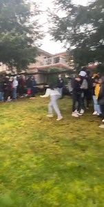 X Local - Nanaimo on Reels | Facebook