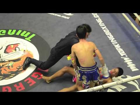 Johny Fightlab knockouts 15 year old 60 muaythai fights
