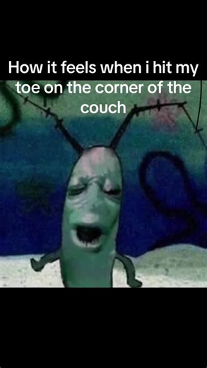 Planton Meme: The Funniest Content Trend