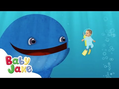@Baby Jake - From Land to Sea | 3 Episodes | Yacki Yacki Yoggi | TV for Kids