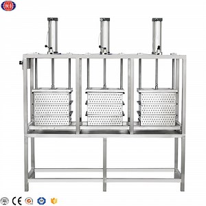[Hot Item] Ws High Quality Automatic Cheese Production Line Cheese Press Machine