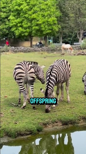 Animal facts so fascinating, they will blow your whole brain#animals #wildlife