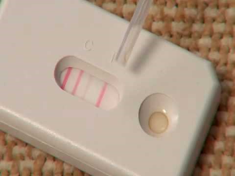 Ventia™ Rapid Home Allergen Test for Dust Mites -- INDOOR Biotechnologies