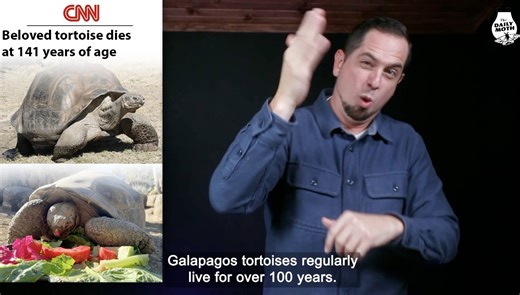 Beloved tortoise dies at 141 years of age ***This is one of the several "Top Stories" we covered. Subscribe to “The Daily Moth” to get all of our content. Subscribe through our website - https://members.dailymoth.com Download on Apple Store - https://tinyurl.com/yffh5h6k Download on Google Play - https://tinyurl.com/yc5d4pf2 $3.99 a month or $39.99 a year | The Daily Moth