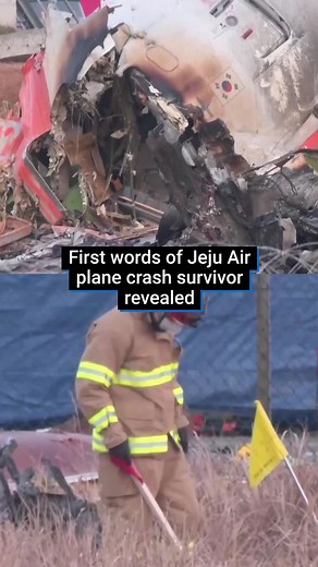 The first words of one of two survivors from a deadly plane crash in South Korea have been revealed. Flight 7C 2216 had travelled to Muan Airport from Bangkok, Thailand, before footage shared online appears to show it coming off the runway and crashing into a wall, before bursting into flames. The two survivors are members of the flight crew who were pulled from the tail of the wreckage, with all 179 other crew and all passengers killed. #southkorea #jeju #jejuair #planecrash #aviation #globalne
