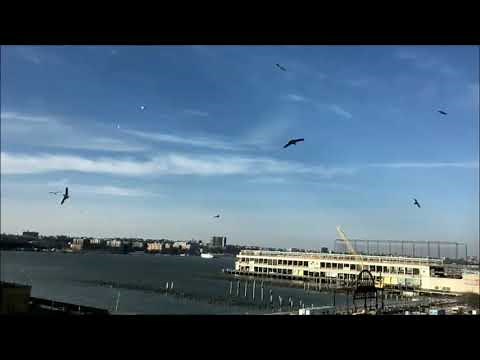 フェリー埠頭　さだまさし