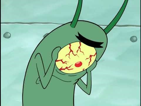 Pet or Pests_Part 2-clip4