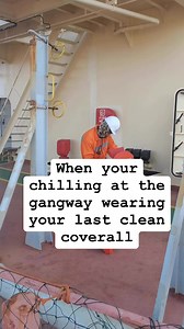 Able Seaman will replace you there at the gangway 😅 Hindi bale mates, kapag ka ganyan eh sinasanay kana pala ni Chief mate dahil may balak na syang bigyan ka ng recommendation for promotion to higher position. Laban lang, labhan mo na lang kaagad yung coverall after duty 😅⚓️ #goodvibesonly #goodvibes #Seafarer #seaman #seawoman #OFW #ship #shipping #bulkcarrier #reels #video #fbvideo #reelsfb #foryou #fypシ゚viralシ #fyp #foryoupage | Captain Red