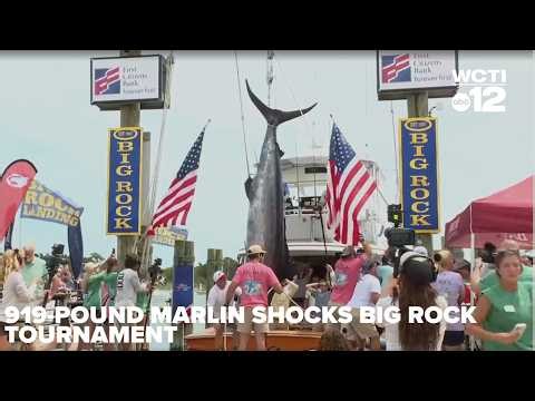 Teen Angler Lands Record-Breaking $6.5 Million Marlin