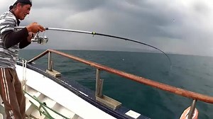 157K views · 1.1K reactions | What kind of fish is this???? Fishing, Hunting & The Outdoors - Like Us╰▶ Hunter & fishing | Hunter & fishing | Facebook