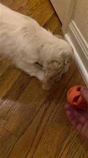 Pinkie Pie March 14 #2