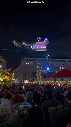 Der Historische Weihnachtsmarkt auf dem Rathausmarkt 🎄 Vom 24. Nov – 23. Dez 2025 ✨ Und täglich um 16, 18 und 20 Uhr fliegt der Weihnachtsmann mit seinem Schlitten über den Markt 🎅🛷 Hamburg im Weihnachtszauber! ❄️😍 #fyp #foryou #hamburg #germany #christmasmarket