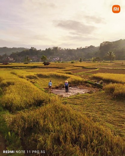 Kamera Redmi Note 11 Pro 5G: Detail Foto Menakjubkan