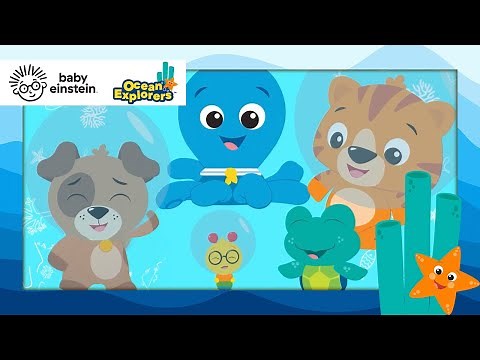 I-Spy an Octopus! | Ocean Explorers | Baby Einstein | Cartoon for Kids | Toddlers show