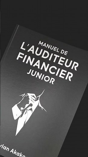 The salary of a financial audit intern | Big 4